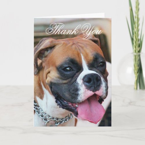 Thank You Boxer dog greeting card