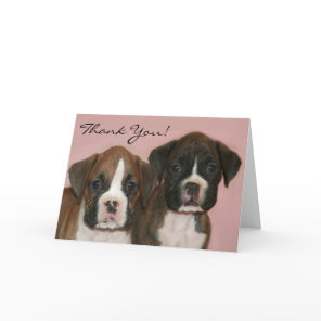 Thank you Boxer Puppies greeting card