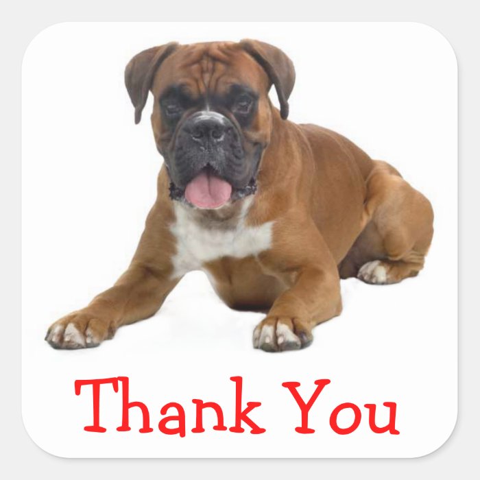 Thank You Boxer Puppy Dog Greeting Sticker