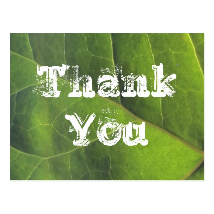 Thank You Bright Green Leaf Nature Appreciation Postcard | Zazzle.com