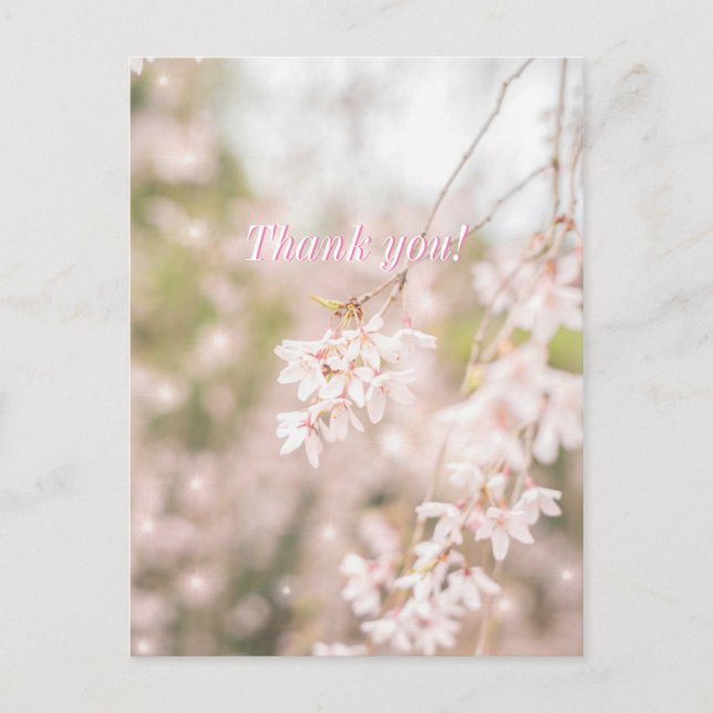 Thank you Bright Weeping Cherry Sparkles Postcard (Front)