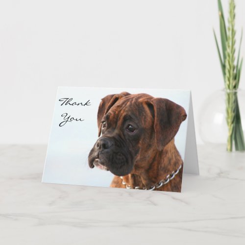 Thank You Brindle boxer puppy greeting card