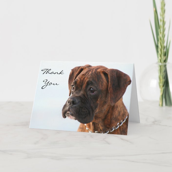 Thank You Brindle boxer puppy greeting card | Zazzle.com