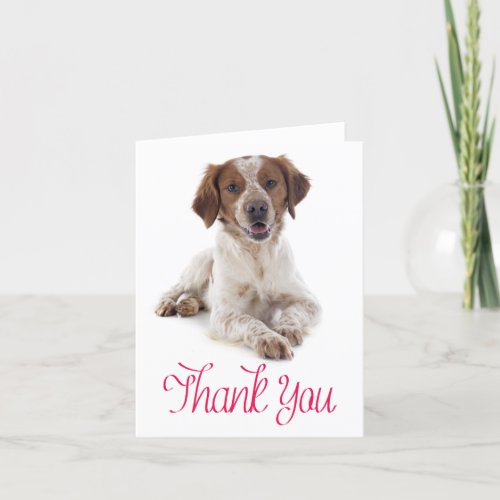 Thank You Brittany Spaniel Puppy Dog Card