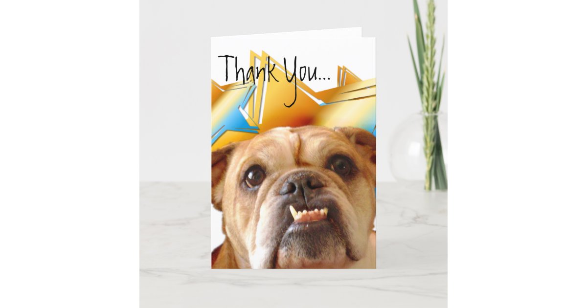 bulldog thank you cards