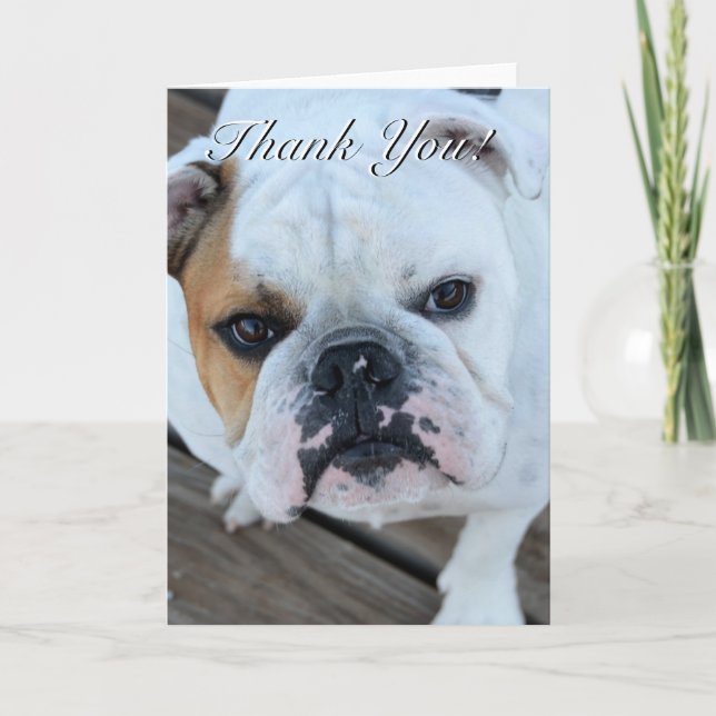 Thank you bulldog greeting card (Front)