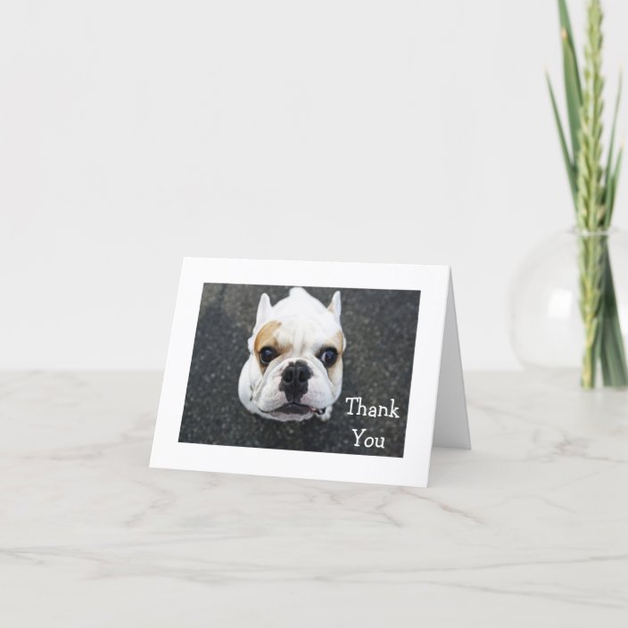 Thank You Bulldog Greeting Card - Kindness Verse | Zazzle.com