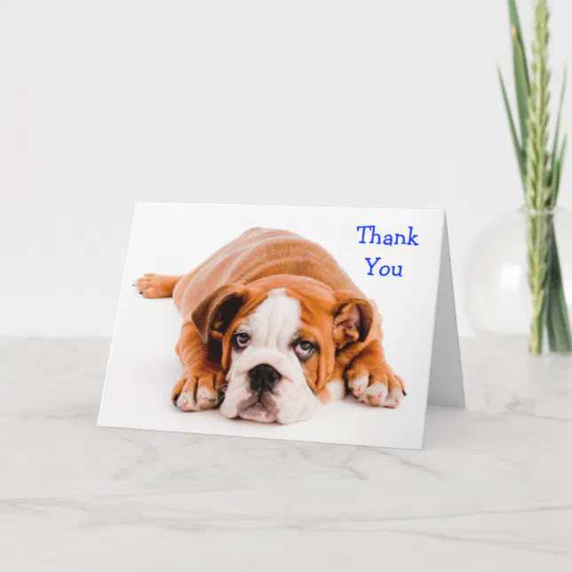 Thank You Bulldog Greeting Card - Kindness Verse | Zazzle