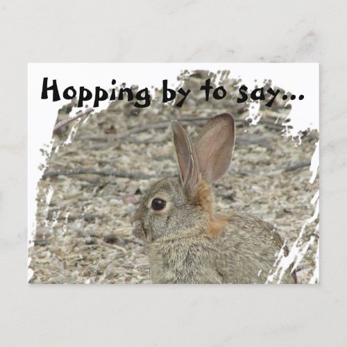 Thank You Bunny Photo Gender Neutral Appreciation Postcard