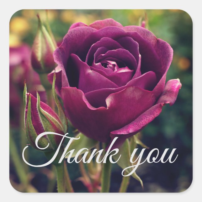 Thank You Burgundy Iceberg Rose #1 Stickers (Front)
