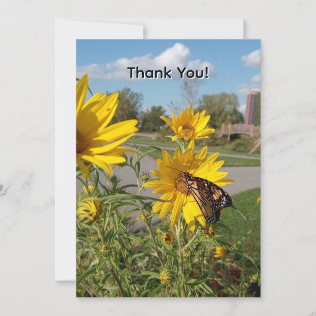 Thank You Butterfly Invitation (Front)