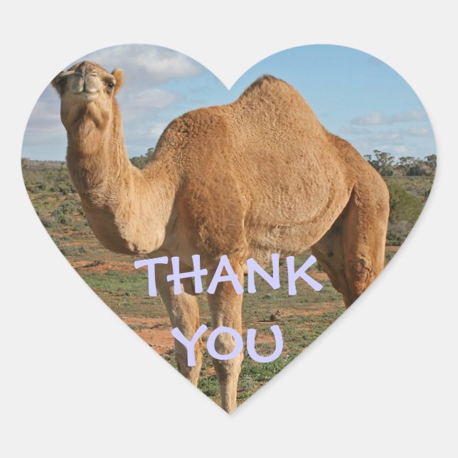 THANK YOU CAMEL HEART STICKER (Front)