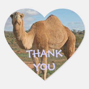 THANK YOU CAMEL HEART STICKER