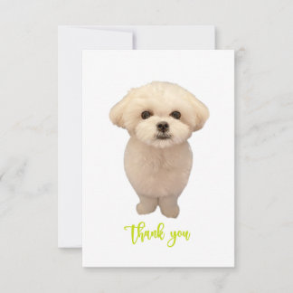 Thank You Card