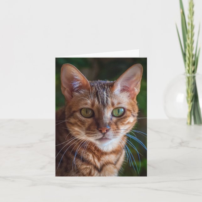 Thank You Card (Front)