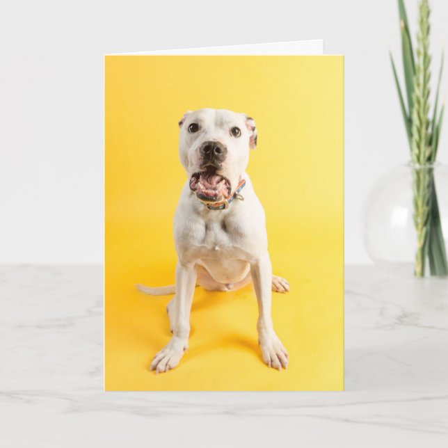 Thank you card (Front)