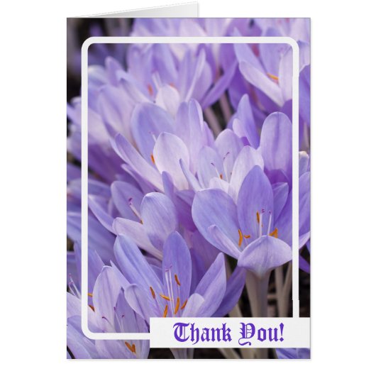 Thank You! Card (Front)