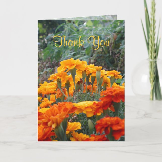 Thank You Card (Front)