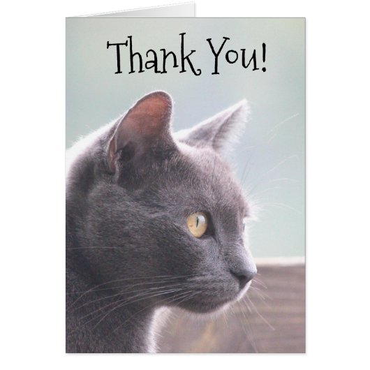 Thank You Card (Front)