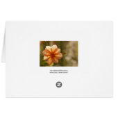 Thank You! Card (Back Horizontal)
