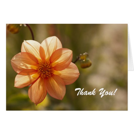 Thank You! Card (Front Horizontal)