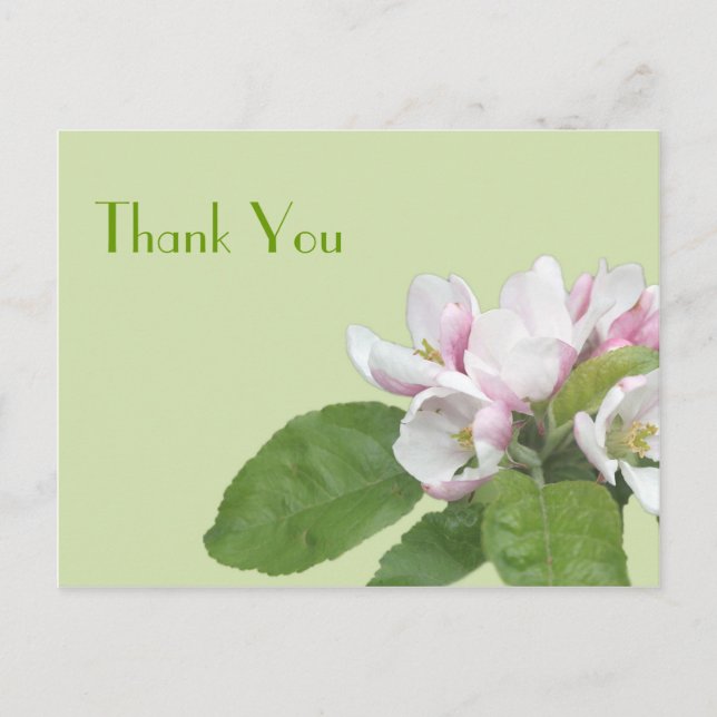 Thank you card, apple flowers postcard (Front)