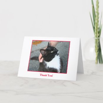 Thank You Card  Blank Inside. by TheyHadMeAtMeow at Zazzle