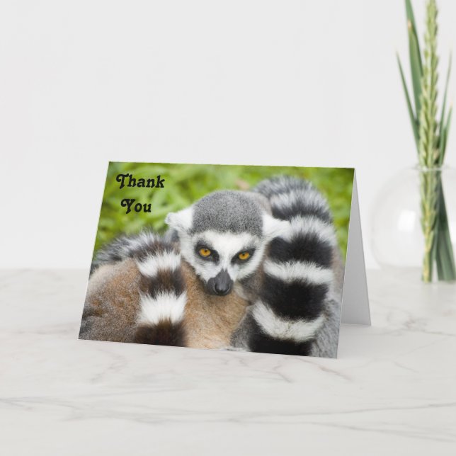 Thank You Card - Cute Lemur Stripey Tail (Front)