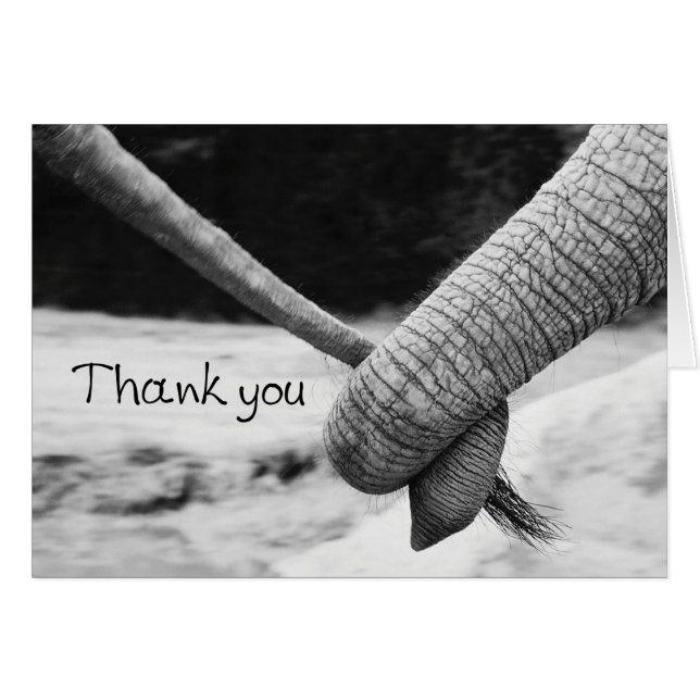 Thank you card - elephant trunk holding tail (Front Horizontal)