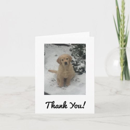 Thank You Card _ Faith Golden Retriever