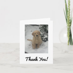 Thank You Card - Festive Golden Retriever.