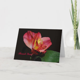 Thank You Card For Therapist