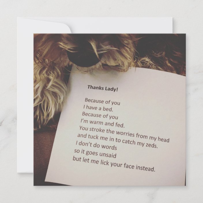 Thank You Card from the Dog