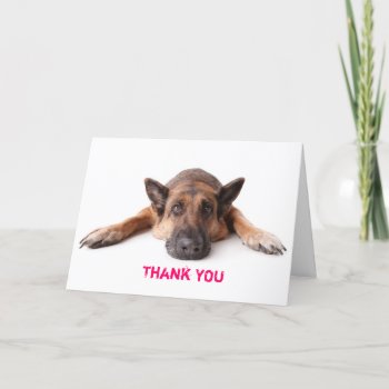 Thank You Card German Shepherd Dog by CalmEnergy at Zazzle
