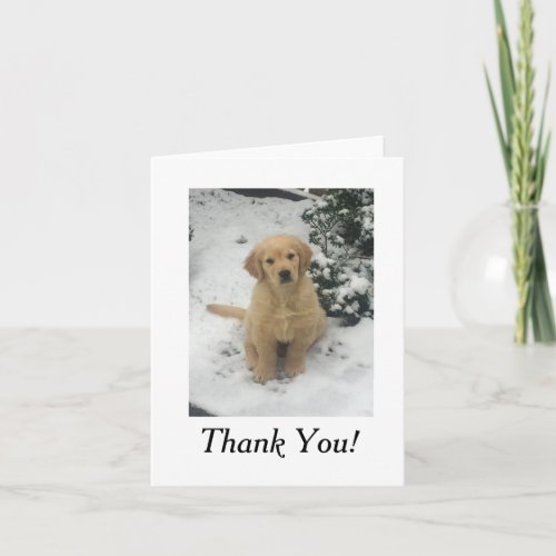 Thank You Card _ Golden Retriever