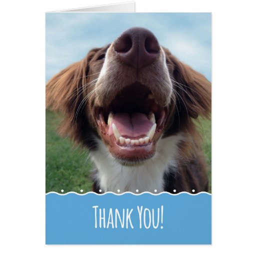 Thank You Card, Happy Dog with Big Smile Greeting Card | Zazzle