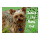 Thank you Card Humor