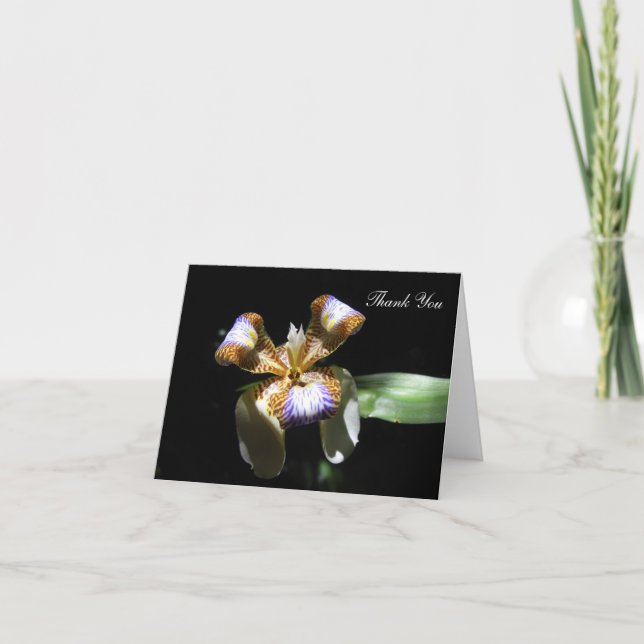 Thank You Card - Iris Flower on Black Background (Front)