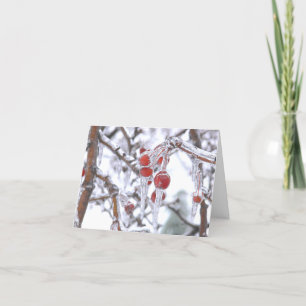 "THANK YOU CARD/RED BERRIES ENCASED IN ICE /WINTER THANK YOU CARD