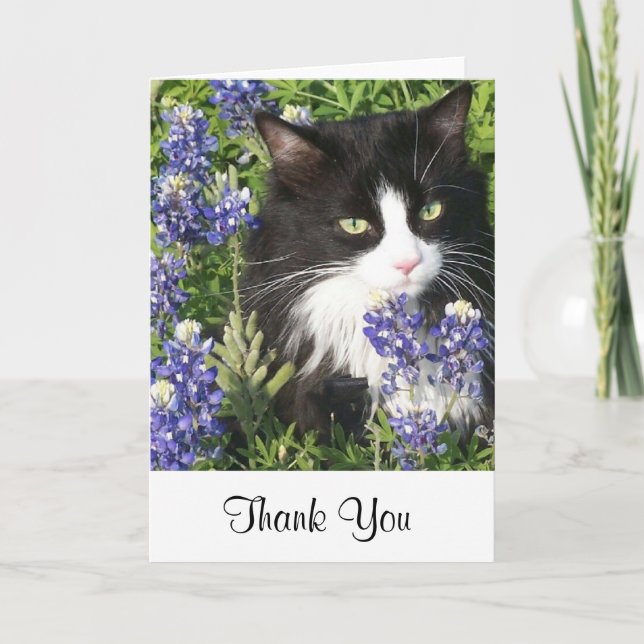 Thank You Card Tuxedo Cat in Texas Bluebonnets (Front)