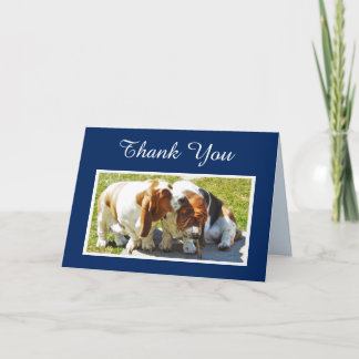"Thank You" Card w/Cute Basset Hounds