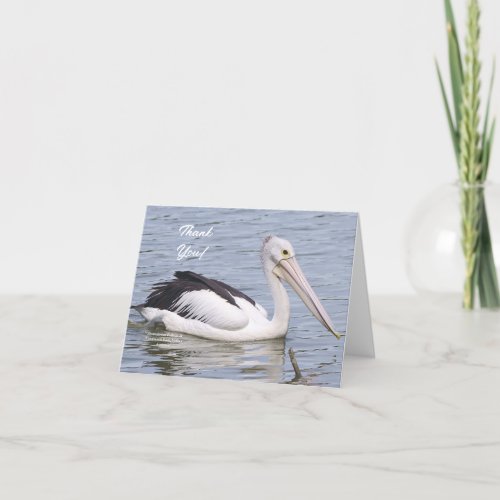 Thank you card with an Australian Pelican