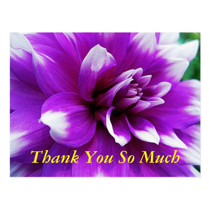 Thank You Card with Dahlia Background Post Cards