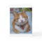 Thank You Card with Happy Cat