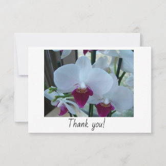 Thank you card with white and purple orchids