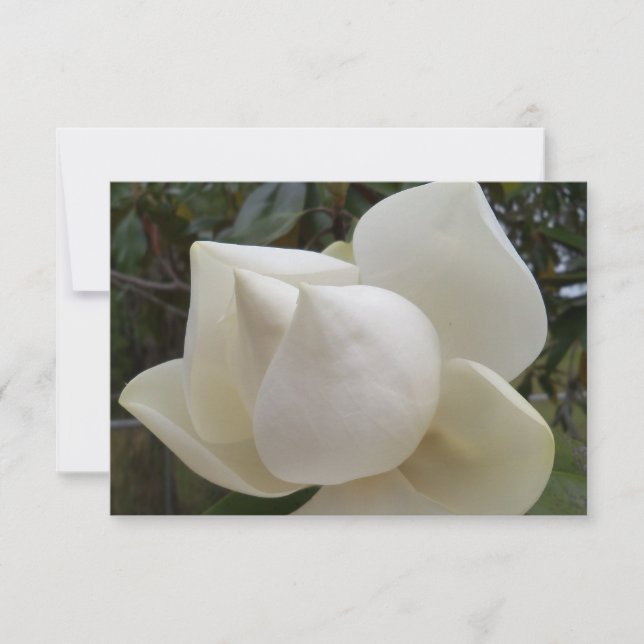 Thank you card with white Magnolia Flower (Front)