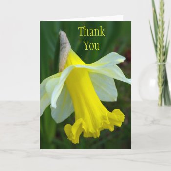 Thank You Card - Yellow Daffodil by PhotographyByPixie at Zazzle