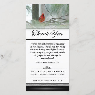 Thank You Cardinal Bird Words Cannot Express Card