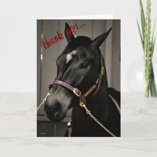 Thank You caring appreciation horse thanks Card