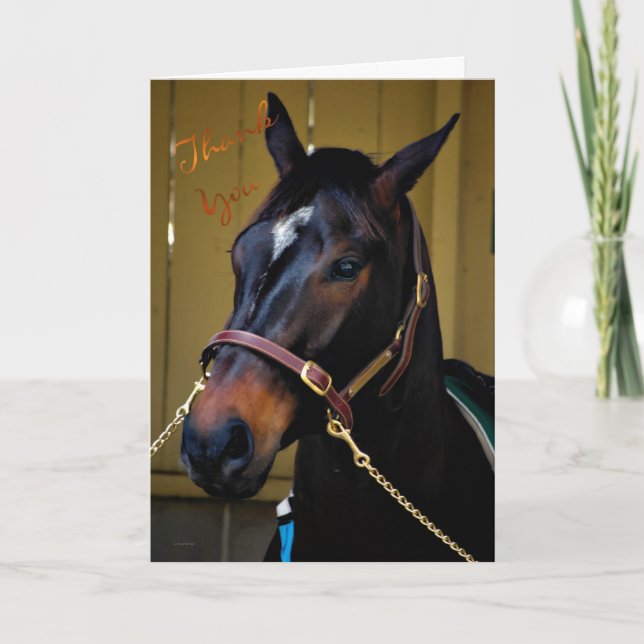 Thank You caring appreciation horse thanks Card (Front)
